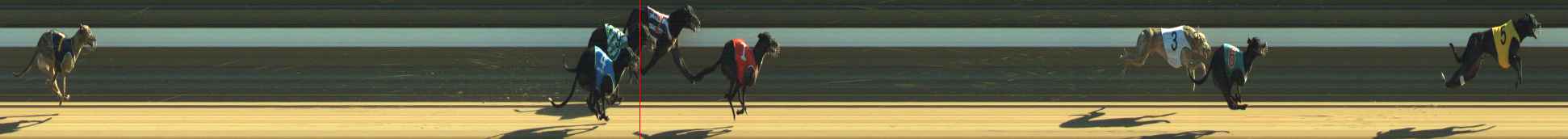 Photo finish for Warragul Race 1