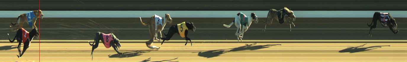 Photo finish for Warragul Race 2