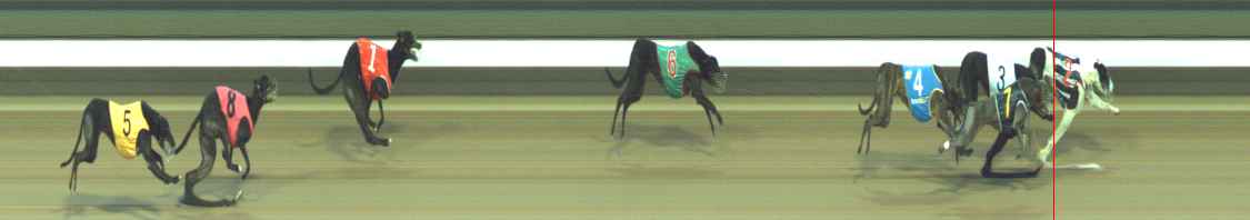 Photo finish for Warragul Race 5