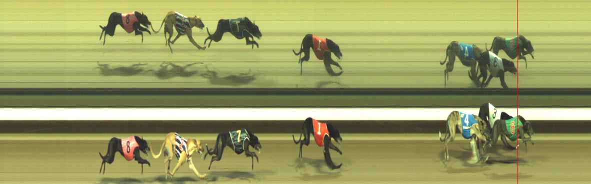 Photo finish for Warragul Race 6