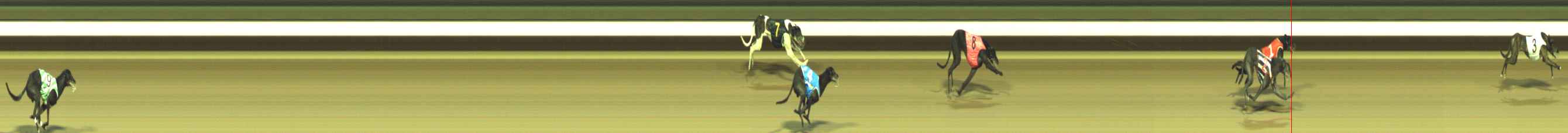 Photo finish for Warragul Race 8