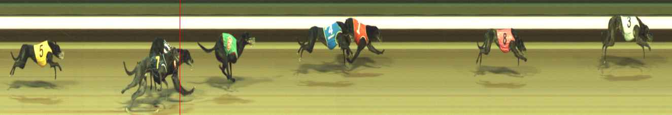 Photo finish for Warragul Race 9