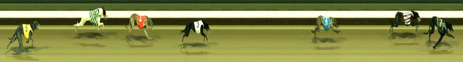 Photo finish for Warragul Race 11