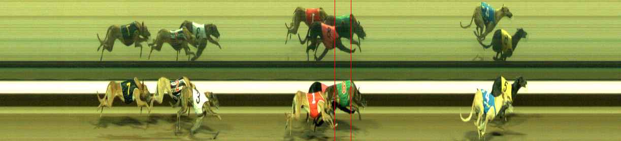 Photo finish for Warragul Race 12