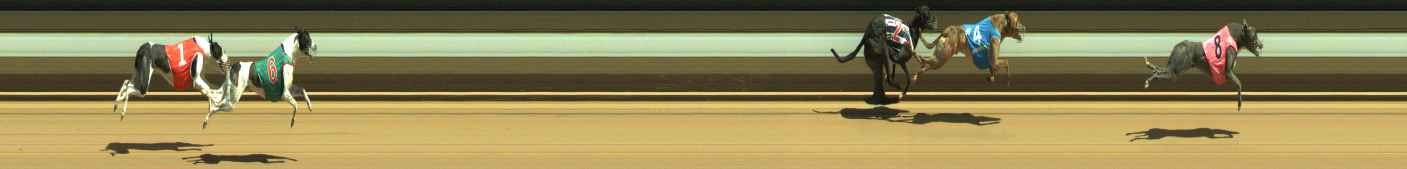 Photo finish for Warragul Race 4