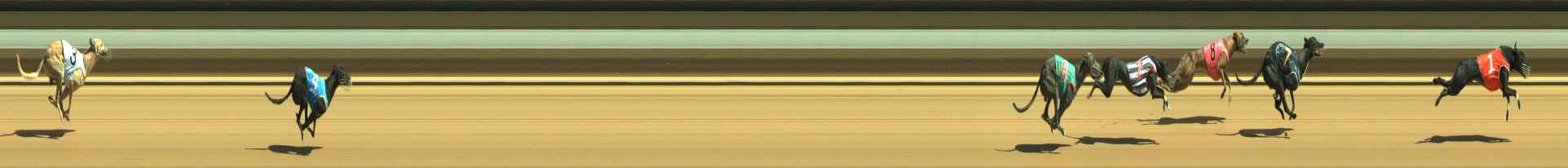 Photo finish for Warragul Race 5
