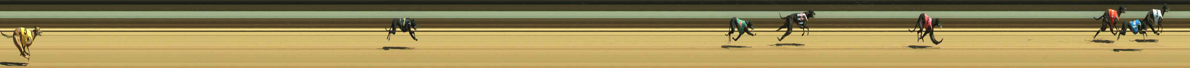 Photo finish for Warragul Race 6