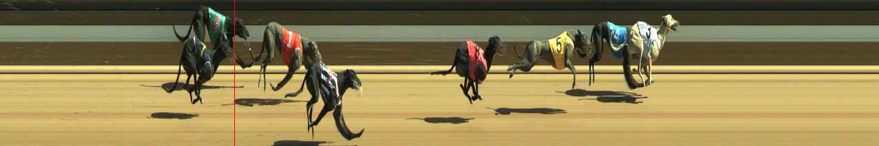Photo finish for Warragul Race 8