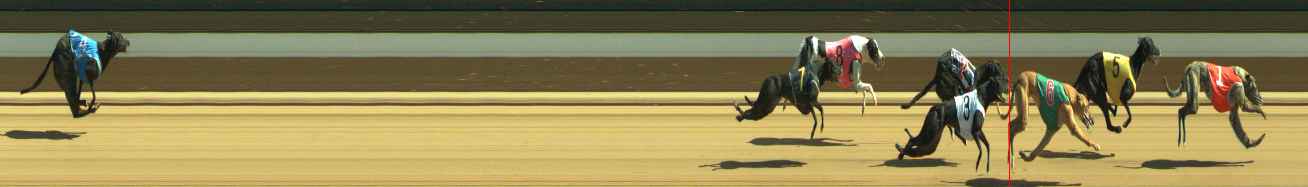 Photo finish for Warragul Race 9