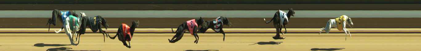 Photo finish for Warragul Race 10