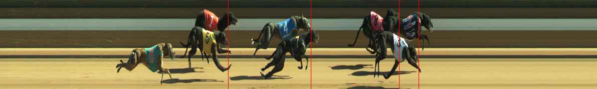 Photo finish for Warragul Race 11