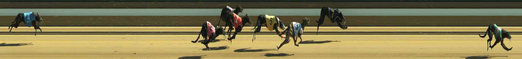 Photo finish for Warragul Race 12