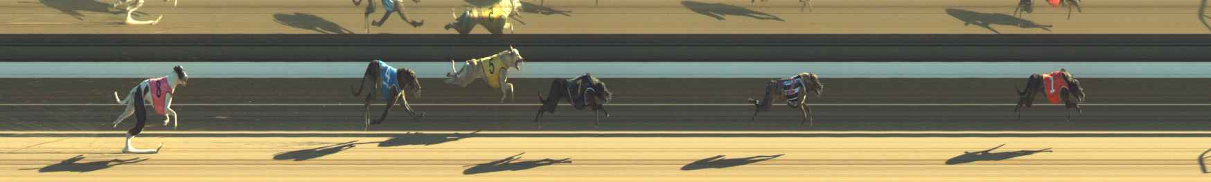 Photo finish for Warragul Race 1