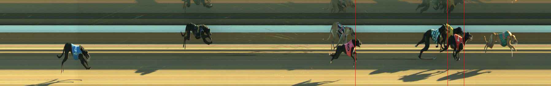 Photo finish for Warragul Race 2