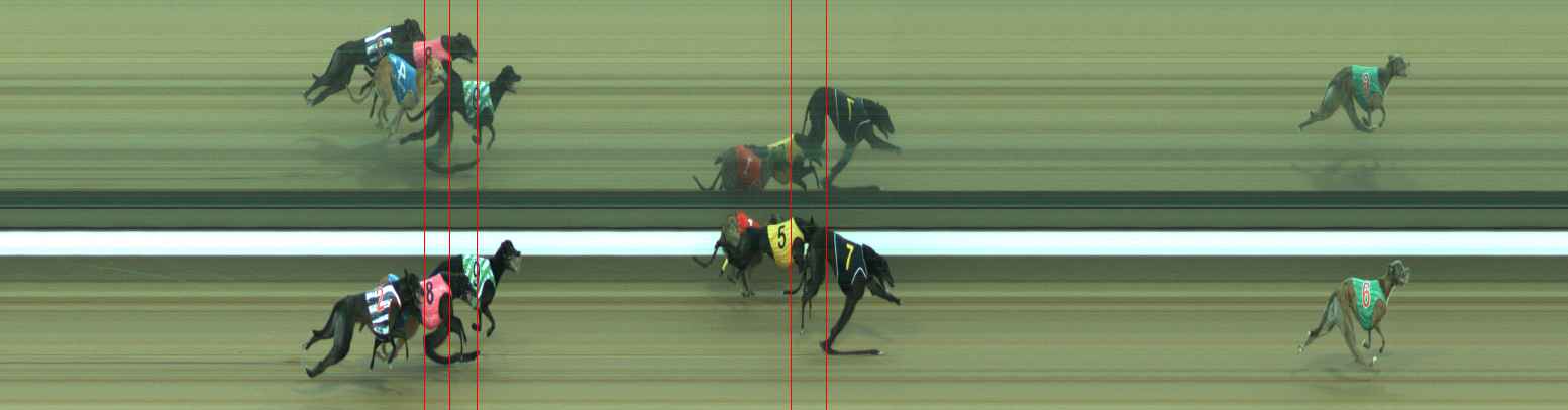 Photo finish for Warragul Race 3
