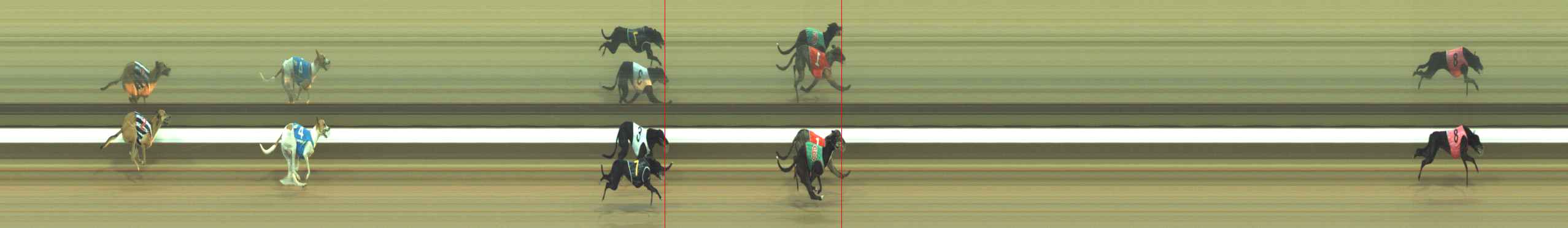 Photo finish for Warragul Race 4