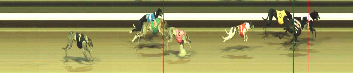 Photo finish for Warragul Race 6