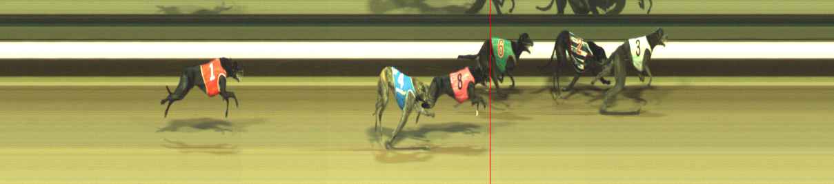 Photo finish for Warragul Race 7