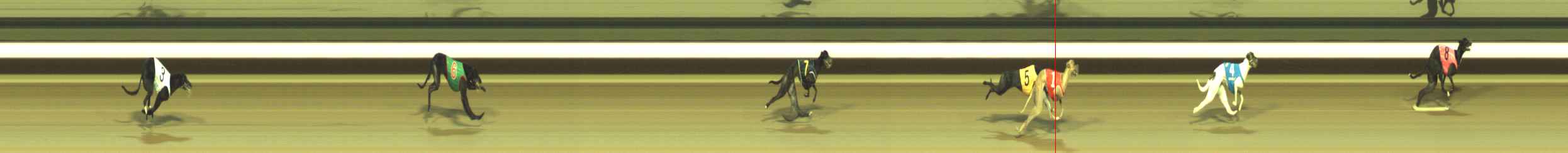 Photo finish for Warragul Race 8