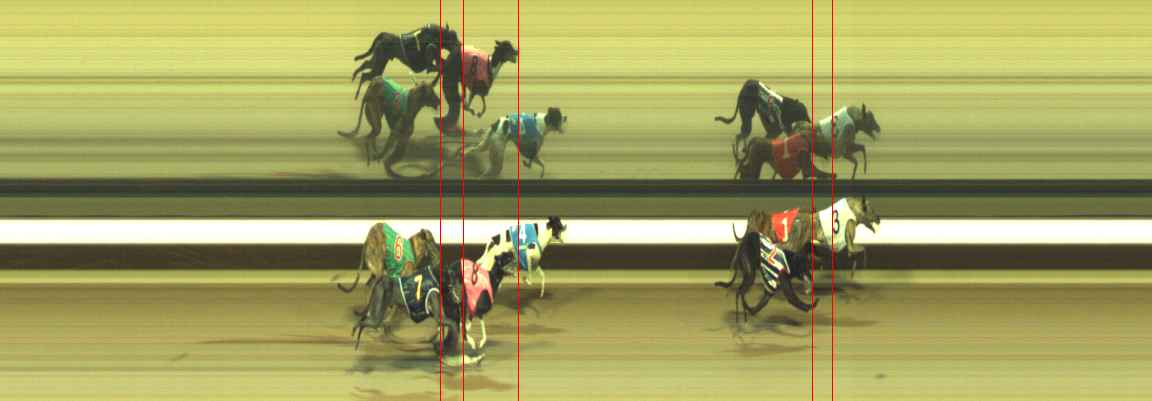 Photo finish for Warragul Race 11