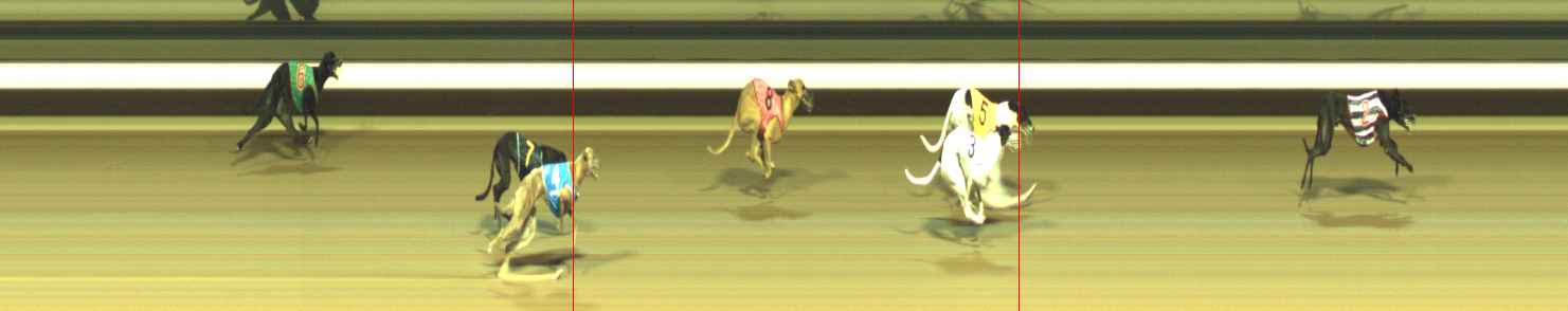Photo finish for Warragul Race 12