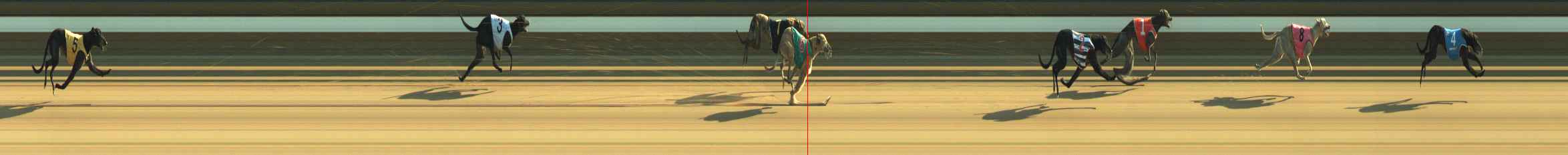 Photo finish for Warragul Race 1