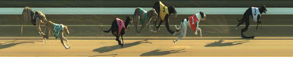 Photo finish for Warragul Race 2