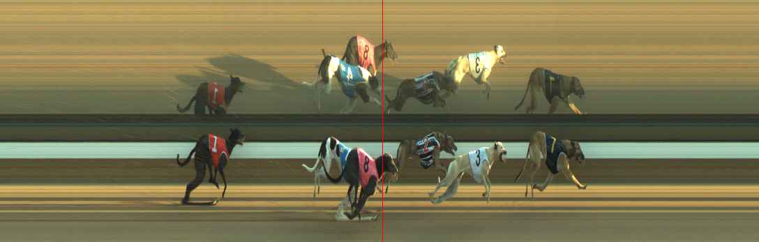 Photo finish for Warragul Race 3