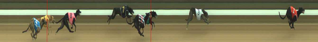 Photo finish for Warragul Race 4