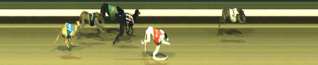Photo finish for Warragul Race 6