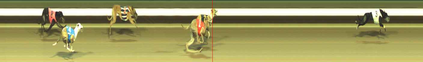 Photo finish for Warragul Race 8
