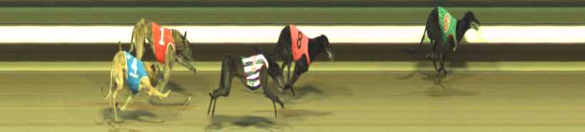 Photo finish for Warragul Race 9