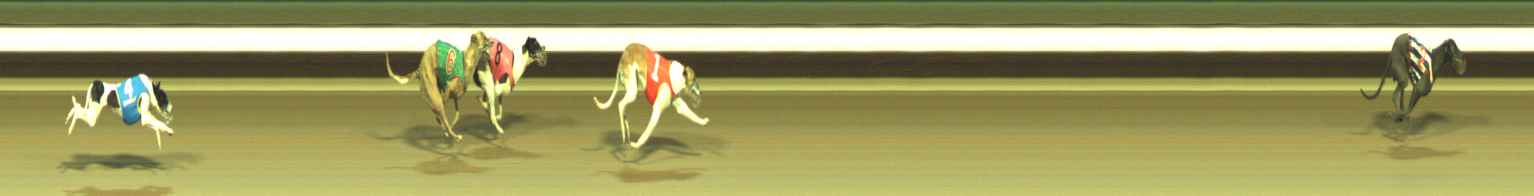 Photo finish for Warragul Race 10