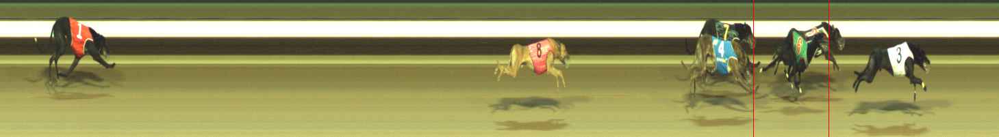 Photo finish for Warragul Race 11