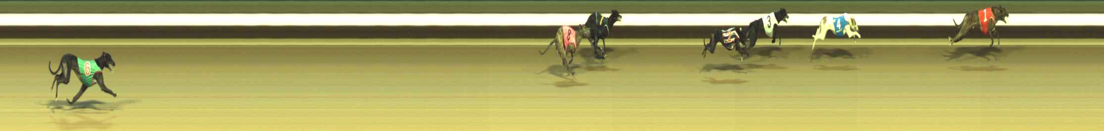 Photo finish for Warragul Race 12