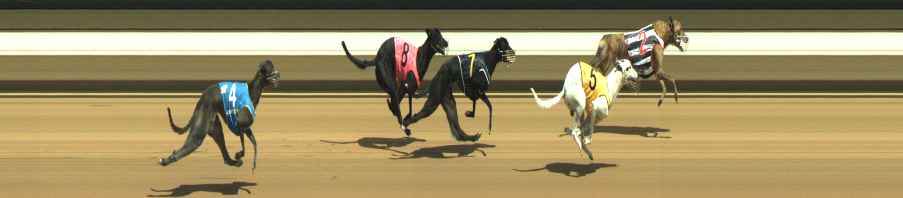 Photo finish for Warragul Race 1