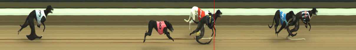 Photo finish for Warragul Race 2