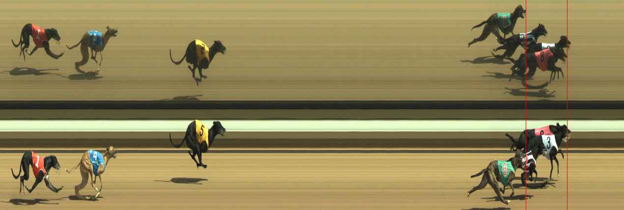 Photo finish for Warragul Race 3