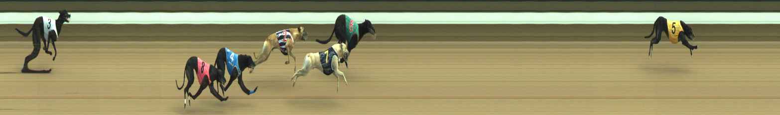 Photo finish for Warragul Race 5