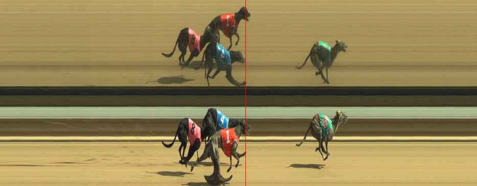 Photo finish for Warragul Race 6