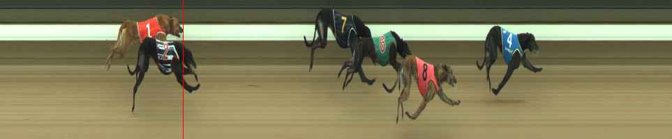 Photo finish for Warragul Race 8