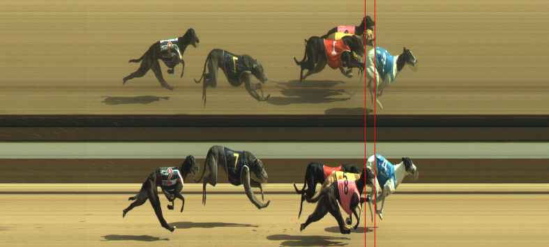 Photo finish for Warragul Race 9