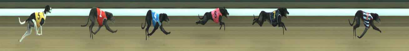 Photo finish for Warragul Race 10