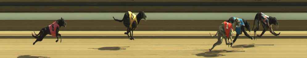 Photo finish for Warragul Race 11