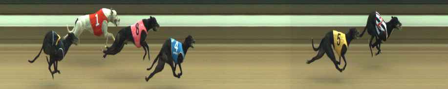 Photo finish for Warragul Race 12