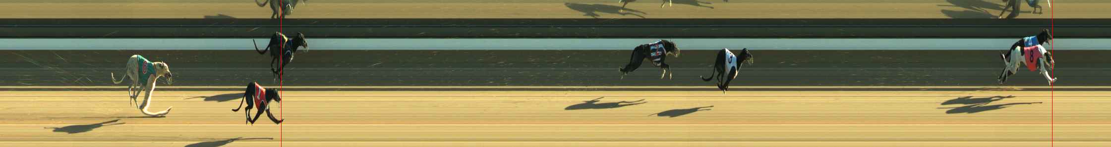 Photo finish for Warragul Race 1