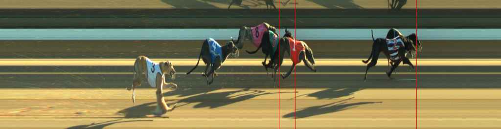 Photo finish for Warragul Race 2