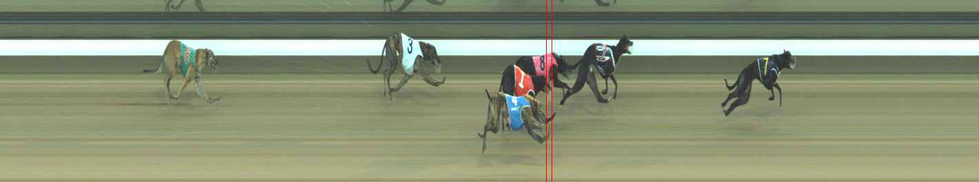 Photo finish for Warragul Race 3