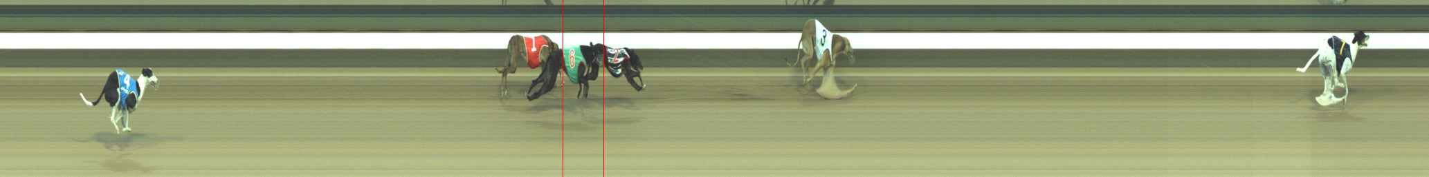 Photo finish for Warragul Race 4