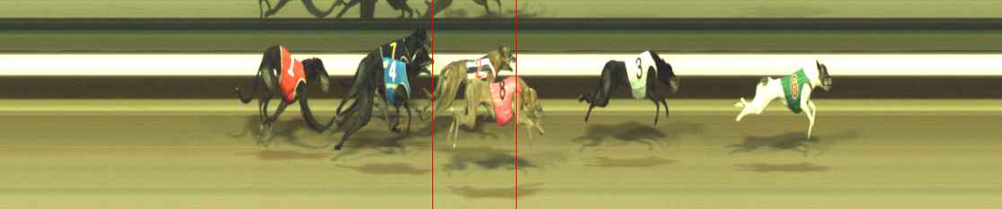 Photo finish for Warragul Race 6